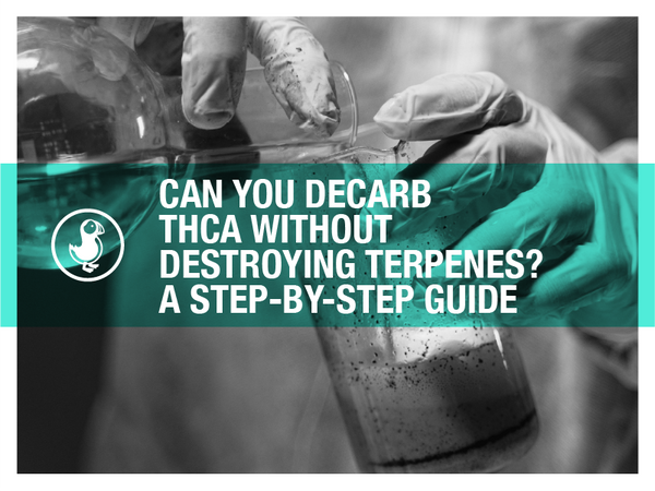 Gloved hands handling cannabis extract in a lab setting with overlay text that reads: 'Can You Decarb THCA Without Destroying Terpenes? A Step-by-Step Guide'