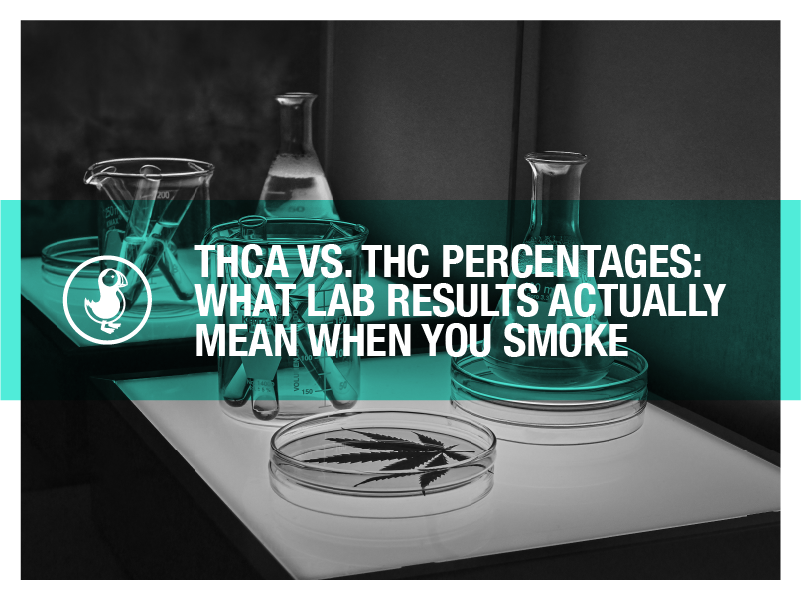 Lab table with cannabis testing equipment, overlaid with bold white text reading “THCA vs. THC Percentages: What Lab Results Actually Mean When You Smoke” and the thisthat CBD logo.