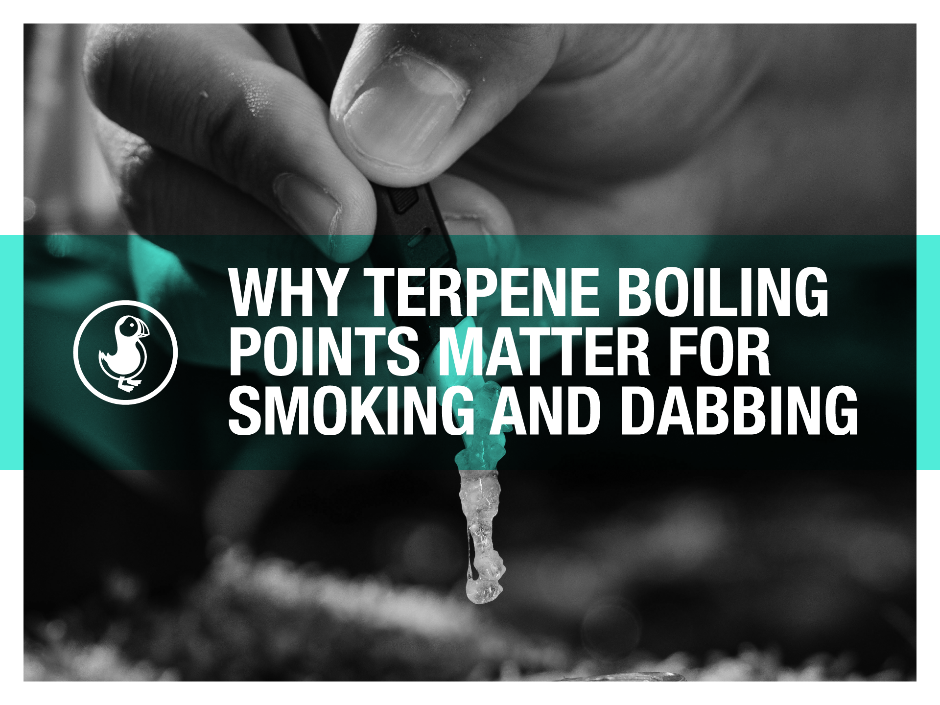 Terpene Boiling Points: Best Temps for Smoking & Dabbing THCA Flower –  thisthat