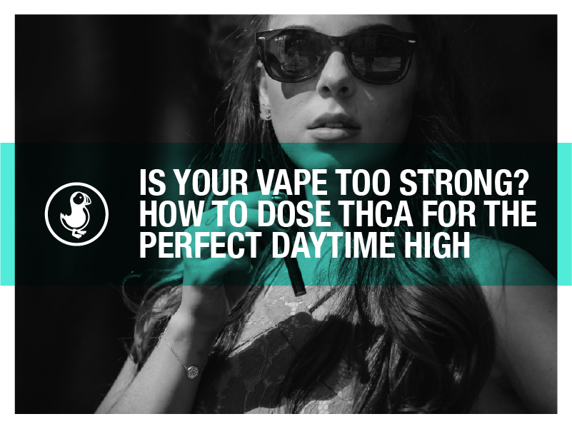 Woman wearing sunglasses with a vape in hand, overlaid text reads "Is Your Vape Too Strong? How to Dose THCA for the Perfect Daytime High" – blog cover for thisthat CBD.