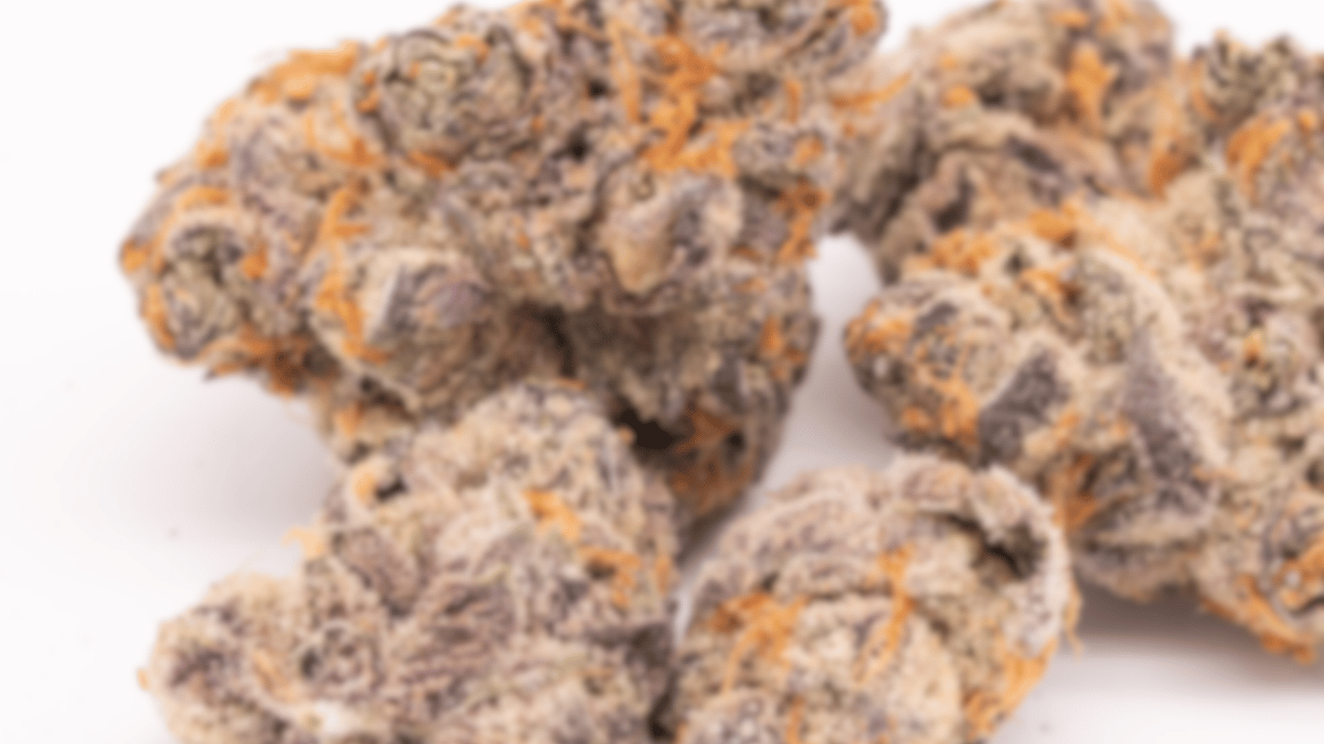 thica❁ Chief Stix - THCa 1.5g Flower – HH WHOLESALE