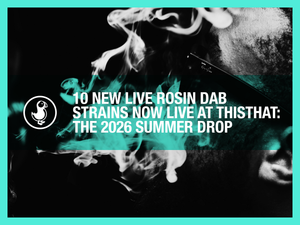 10 new live rosin dab strains — thisthat 2026 summer drop with solventless THCA concentrate at 91-99% potency