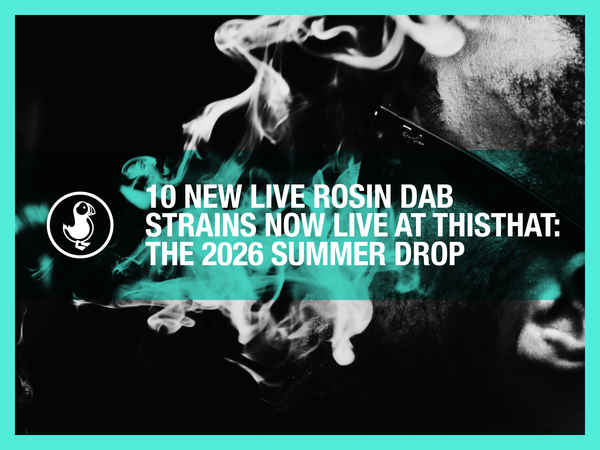 10 new live rosin dab strains — thisthat 2026 summer drop with solventless THCA concentrate at 91-99% potency