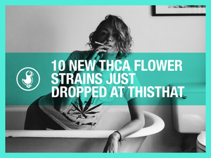 10 New THCa Flower Strains Just Dropped at thisthat