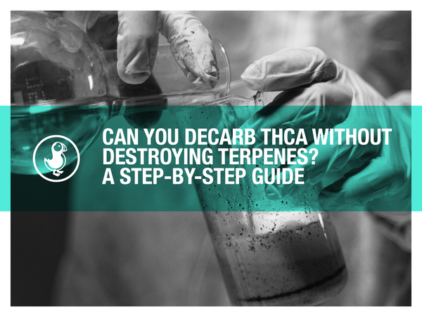 Can You Decarb THCA Without Destroying Terpenes? A Step-by-Step Guide
