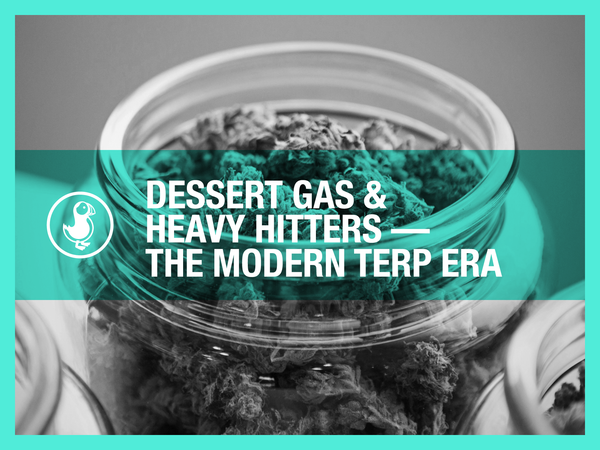 Dessert Gas & Heavy Hitters — The Modern Terp Era