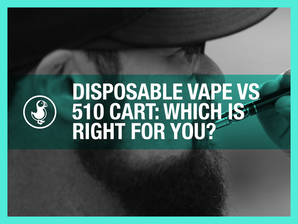 Disposable vape vs 510 cart comparison guide — choosing the right THCA live resin vape format from thisthat