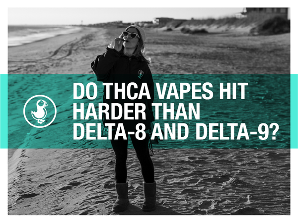 Person vaping on a beach with text overlay asking 'Do THCa Vapes Hit Harder Than Delta-8 and Delta-9?' for thisthat brand