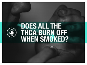 Does All the THCa Burn Off When Smoked?