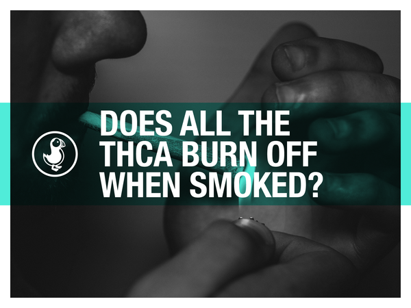 Does All the THCa Burn Off When Smoked?