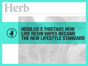 Herb.co x thisthat: How Live Resin Vapes Became the New Lifestyle Standard