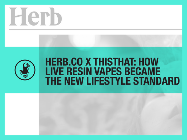 Herb.co x thisthat: How Live Resin Vapes Became the New Lifestyle Standard
