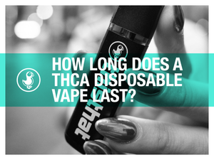 How Long Does a THCa Disposable Vape Last?