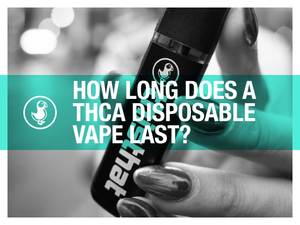 How long does a THCa disposable vape last — hand holding thisthat live resin vape with lifespan and battery guide