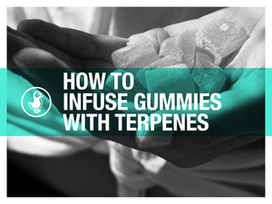 How to infuse gummies with terpenes — hands holding hemp gummies with DIY guide for terpene-rich THCA edibles