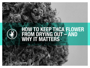 How to Keep THCA Flower from Drying Out – And Why It Matters