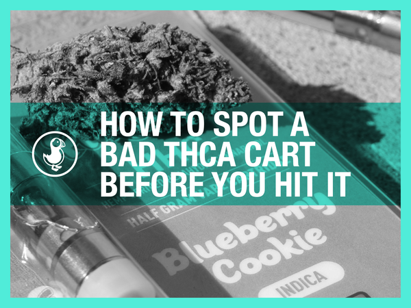 How to Spot a Bad THCA Cart Before You Hit It