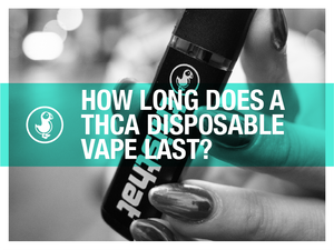 Person holding a thisthat THCa disposable vape with text overlay reading 'How Long Does a THCa Disposable Vape Last?' in bold white letters on a teal banner