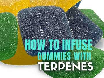 image of closeup terpene infused gummy, with wording next to it saying "how to infuse gummies with terpenes?"