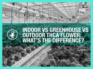 Indoor vs Greenhouse vs Outdoor THCA Flower: What’s the Difference?