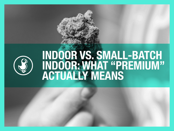 Indoor vs. Small-Batch Indoor: What “Premium” Actually Means
