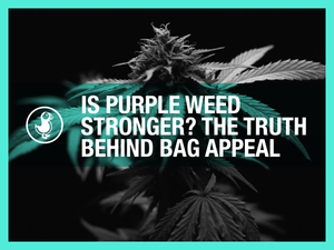 Is Purple Weed Stronger? The Truth Behind Bag Appeal
