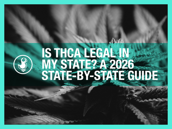 Is THCA legal in my state — 2026 state-by-state guide with hemp leaves explaining US legal status for THCA products