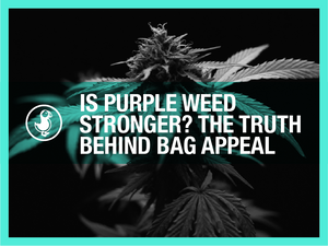 Is Purple Weed Stronger? The Truth Behind Bag Appeal