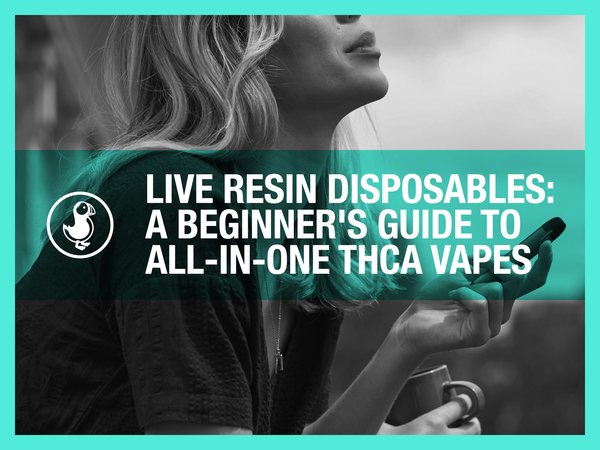Live resin disposable vape — woman holding all-in-one THCa vape pen with beginner's guide for flavor and effects