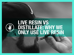 Live resin vs distillate — hand holding hemp vape concentrate explaining why thisthat only uses live resin THCa