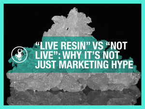 “Live Resin” vs “Not Live”: Why It’s Not Just Marketing Hype