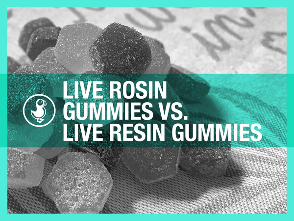Live Rosin Gummies vs Live Resin Gummies