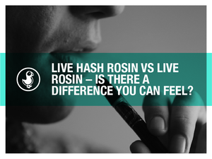 THCA vape cartridge with golden oil being held up in natural light, showcasing its clarity and sleek hardware design