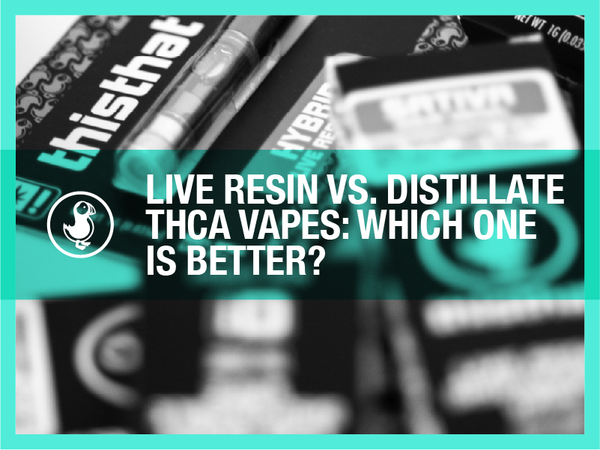 thisthat THCa vapes packaging with text overlay reading 'Live Resin vs. Distillate THCa Vapes: Which One Is Better?' in bold white font