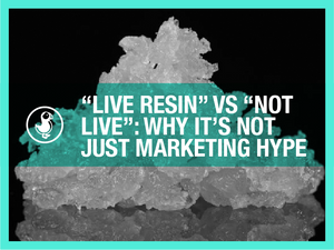 “Live Resin” vs “Not Live”: Why It’s Not Just Marketing Hype