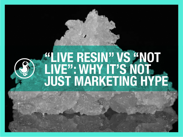 “Live Resin” vs “Not Live”: Why It’s Not Just Marketing Hype