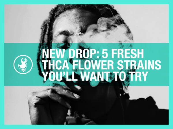 New THCA flower drop — person smelling fresh hemp bud with thisthat's 5 new strains for potency and flavor