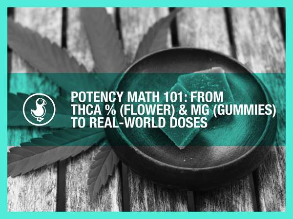 Potency Math 101: From THCA % (Flower) & mg (Gummies) to Real-World Doses