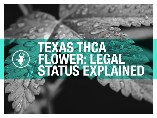 Texas THCA Flower: Legal Status Explained