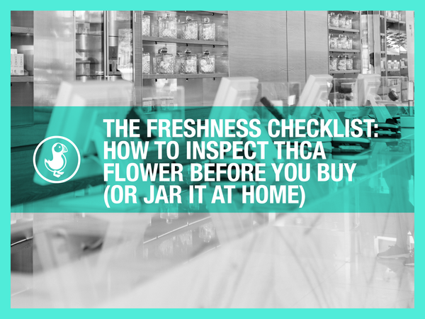 The Freshness Checklist: How to Inspect THCA Flower Before You Buy (or Jar It at Home)