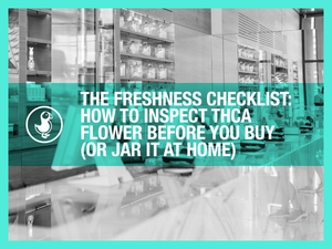 The Freshness Checklist: How to Inspect THCA Flower Before You Buy (or Jar It at Home)