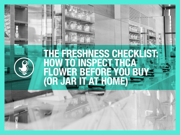 The Freshness Checklist: How to Inspect THCA Flower Before You Buy (or Jar It at Home)