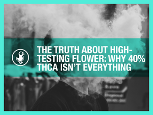 The Truth About High-Testing Flower: Why 40% THCA Isn’t Everything