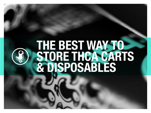 thisthat THCa vape packaging with text overlay reading 'The Best Way to Store THCa Carts & Disposables' for storage tips blog