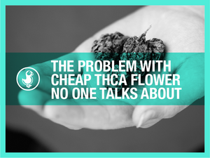 The Problem With Cheap THCA Flower No One Talks About