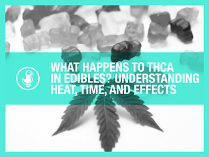 What Happens to THCA in Edibles? Understanding Heat, Time, and Effects