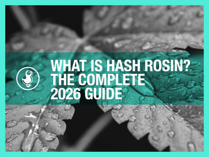 What Is Hash Rosin? The Complete 2026 Guide