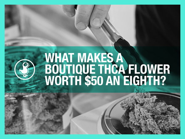 What Makes a Boutique THCA Flower Worth $50 an Eighth?