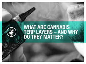 What Are Cannabis Terp Layers – And Why Do They Matter?