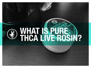 What is Pure THCa Live Rosin?